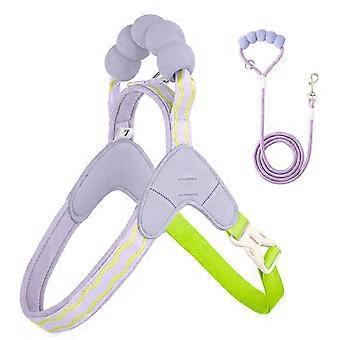 Reflective Dog Harness Set No-Pull Step-in Vest for Small Dogs C