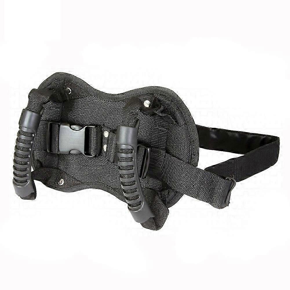 Versatile Pillion Grab Belt System
