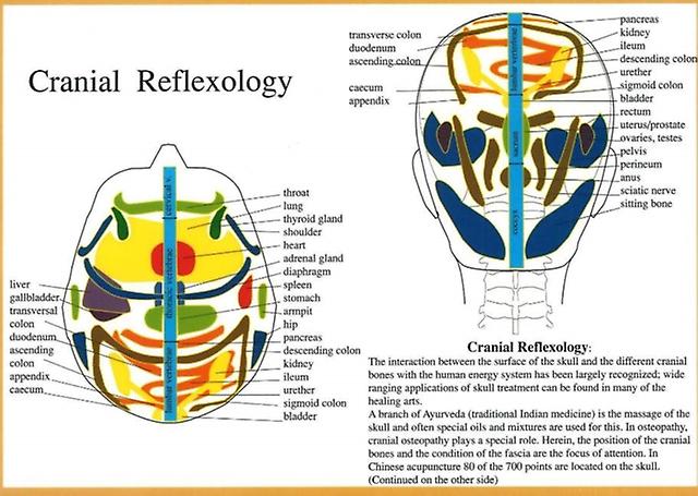 Cranial Reflexology -- A4 - Jan van Baarle