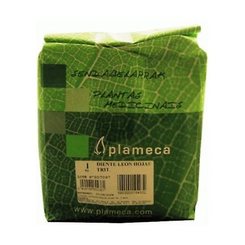 Witch Hazel Leaf Trit. 1 kg