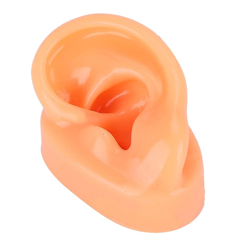 Silicone Left Ear Model Display Simulation for Hospital Hearing Aids