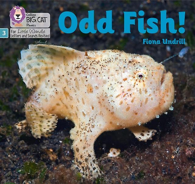 Odd Fish by Fiona Undrill Paperback