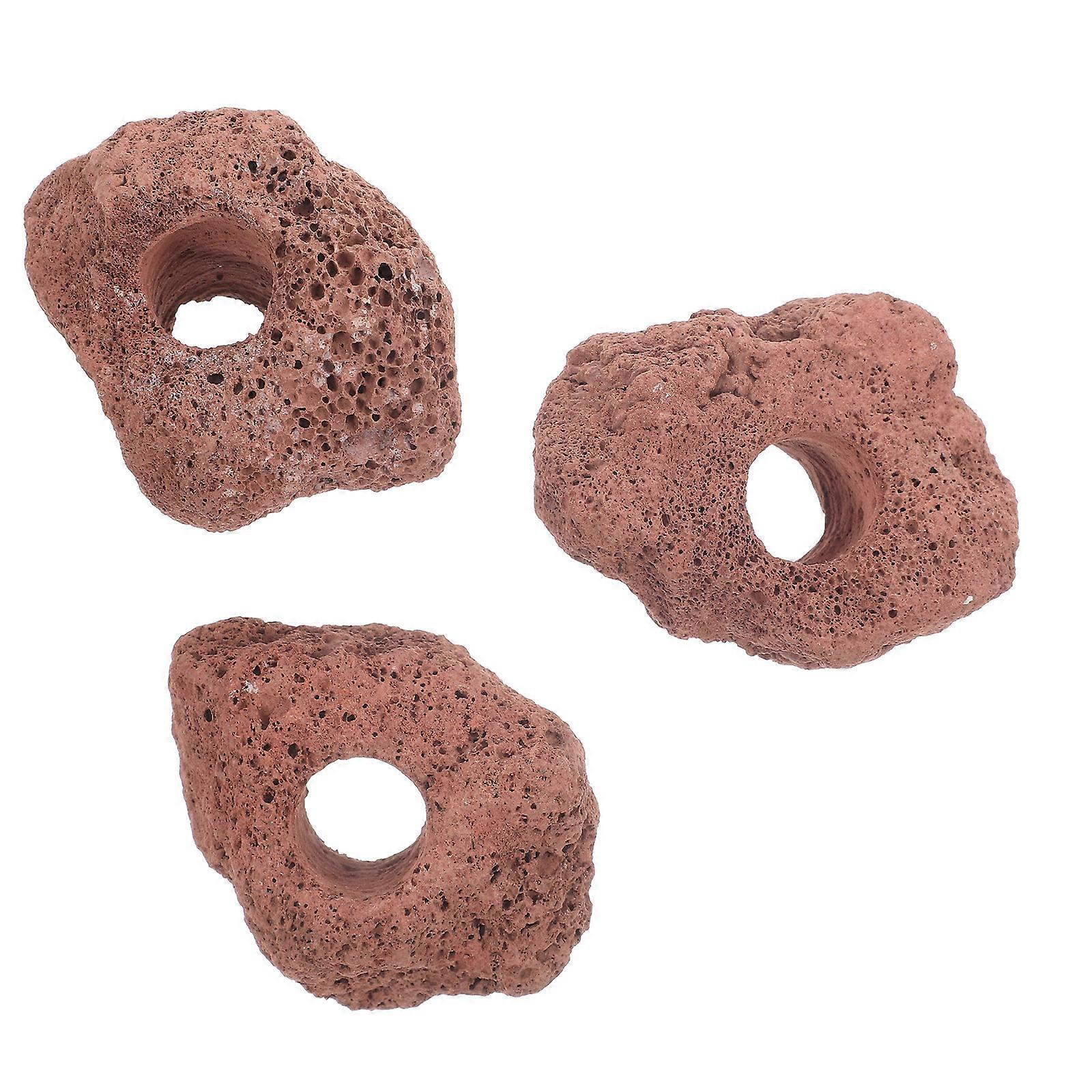 Decor, Multi-functional Plant Fixing Rings for Aquariums