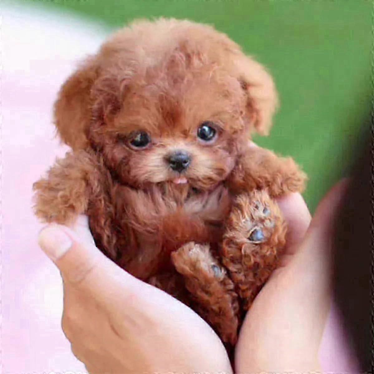 インタラクティブロボット子犬のおもちゃ - 子供のためのかわいいウォーキング&吠えるぬいぐるみ犬