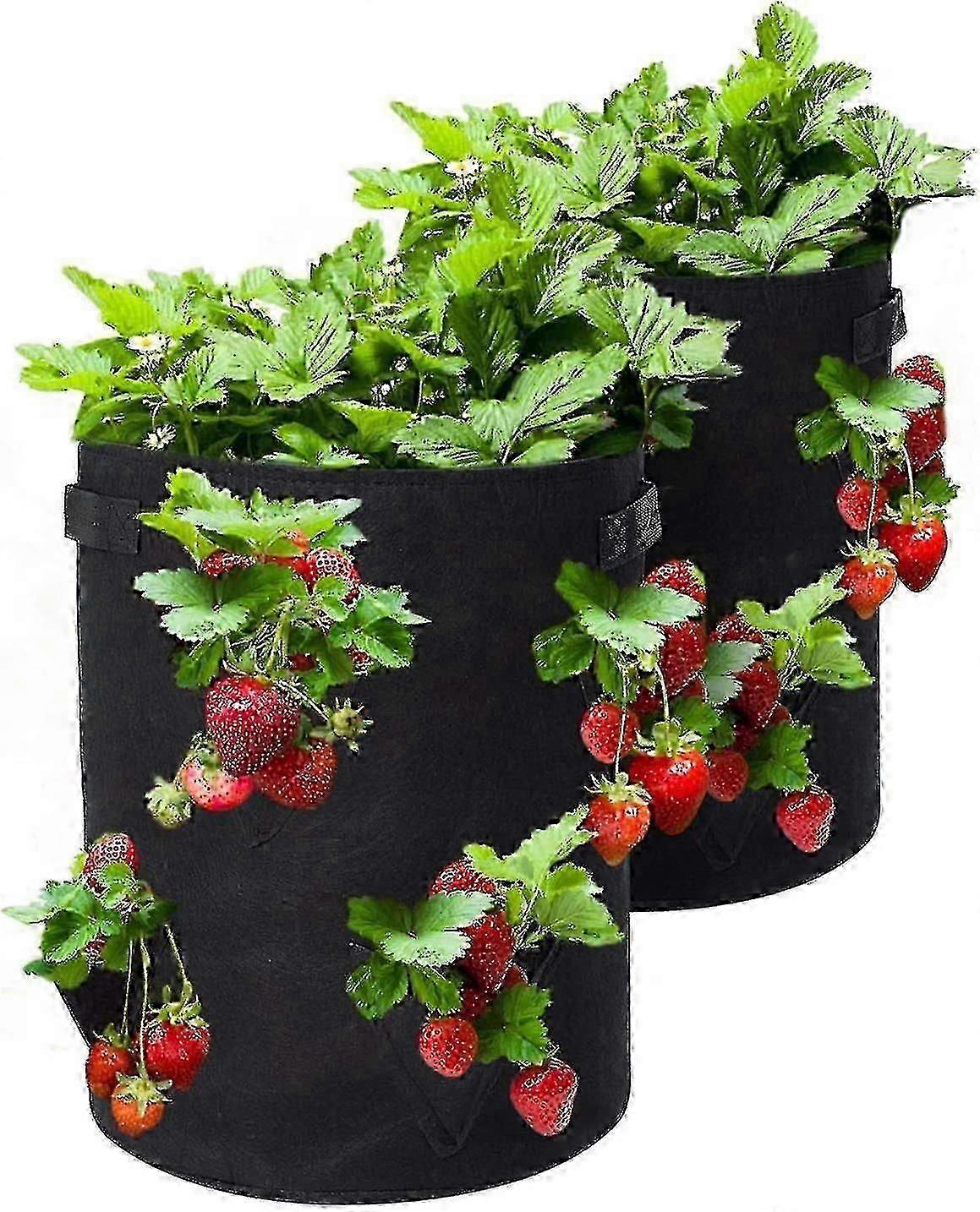 Opgrader jordbærdyrkningsposer, 2 pakke 10 gallon jordbærplanter med 8 sidevækstlommer, åndbar jordbærdyrkningstaske kompatibel halmberrie-i