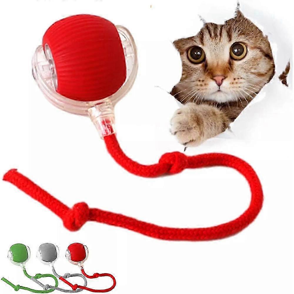 suitable for chewy viral rolling ball, viral rolling ball, chewie doggie ball 2025 new