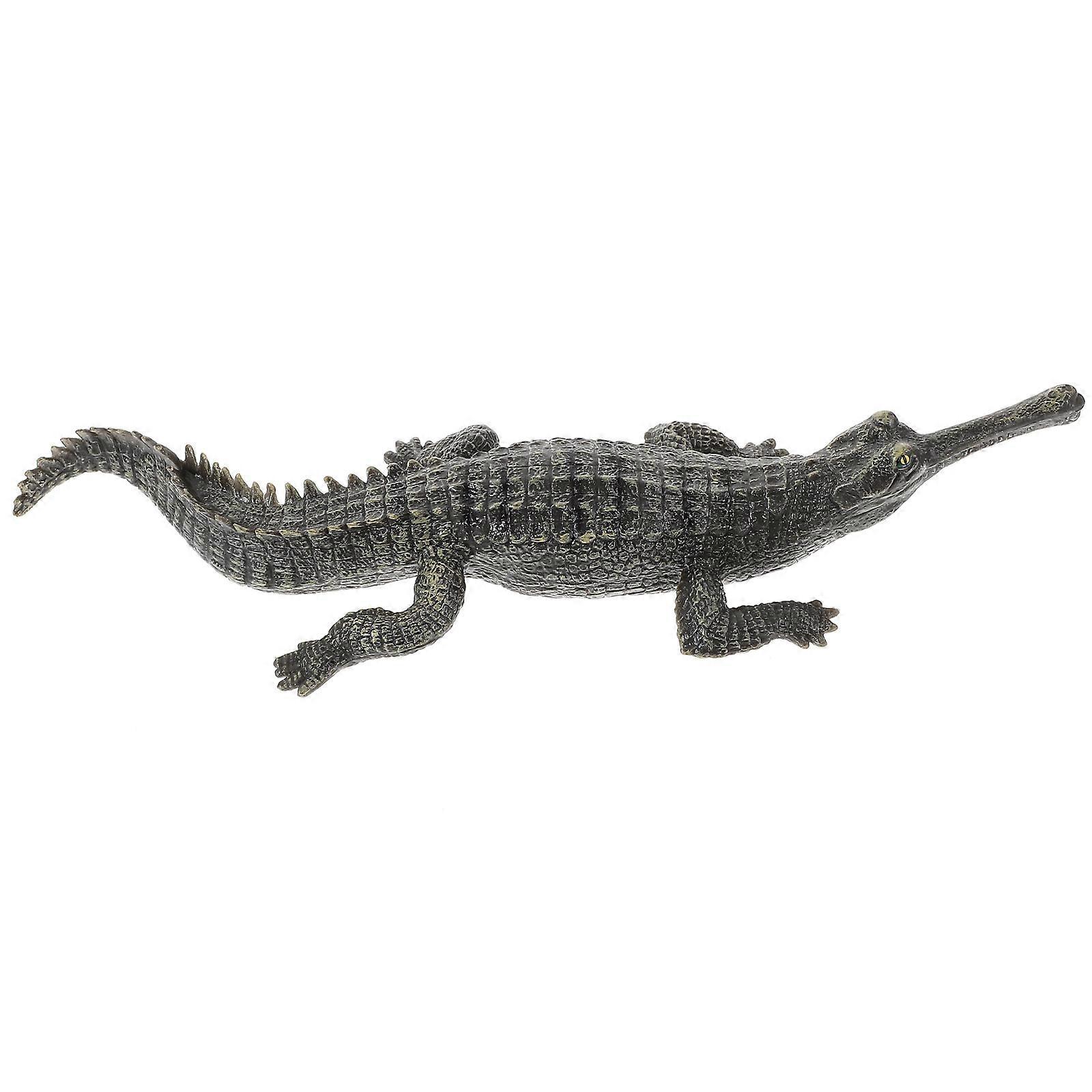 Simulation Model Plastic Educational Model for Decor 5Pcs