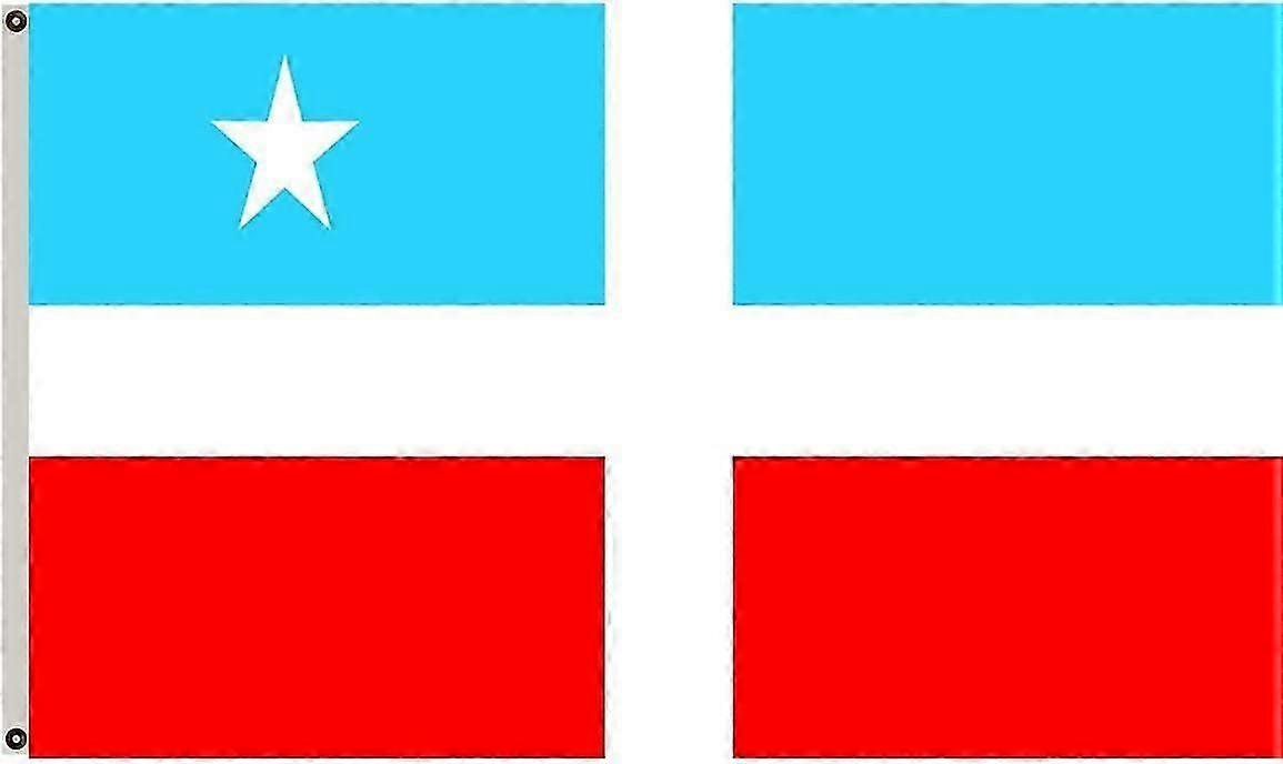 Version correcte du drapeau de Lares, bannière Qi 1226