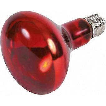 Lampada a infrarossi 95-130 mm 100 W per terapia antidolorifica Riscaldamento Edizione 0125