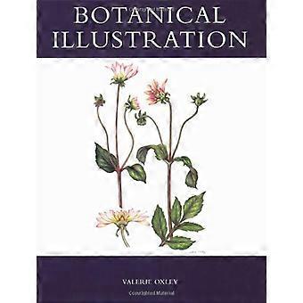 Illustrazione botanica