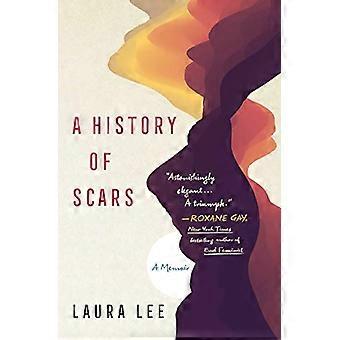 Une histoire de cicatrices : un mémoire
