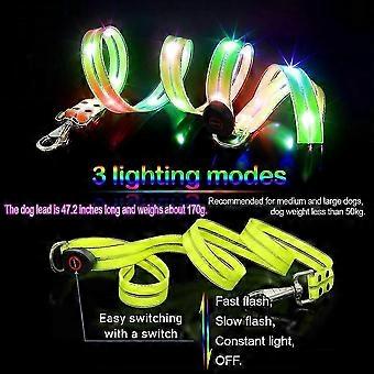 LED Waterproof Dog Leash USB Rechargeable, Glow in the Dark Safety Gear for Night Walks for Medium to Large Dogs-SFYGV