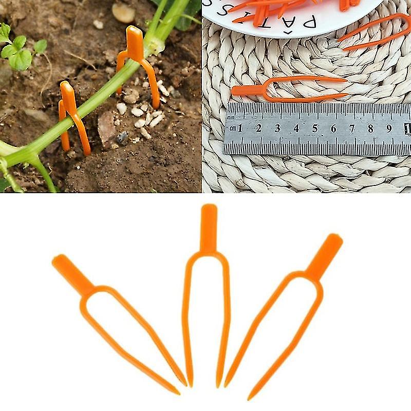 Gardening Plant Fixing Clips Plastic Fastening Vines Clam Fixture Clamp,planting Fork For Strawberry Seedling Watermelon Tomato