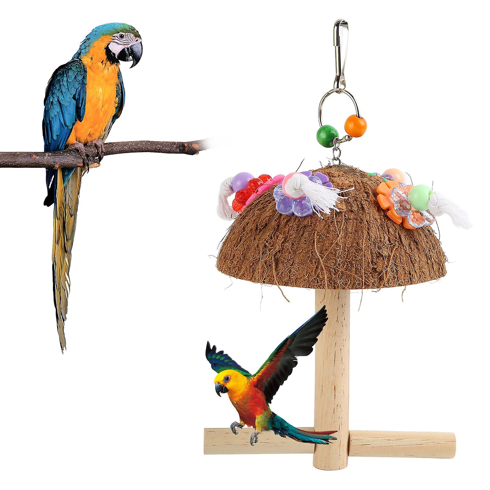 Parrot Coconut Shell Swing Stand 24x14cm Safe Chew Toy