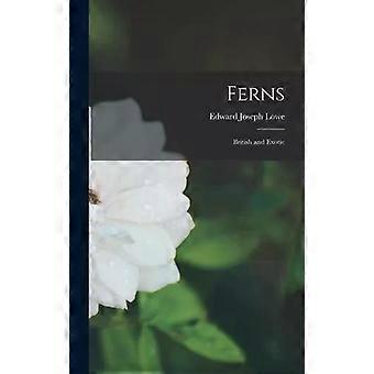 Ferns British And Exotic - Edward Joseph Lowe