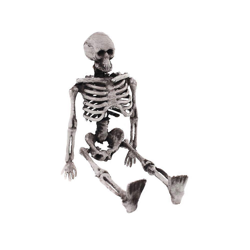 Simulated Skeleton Prop Halloween Skeleton Small Human Body Bone Model
