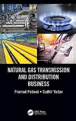 Natural Gas Transmission and Distribution Business