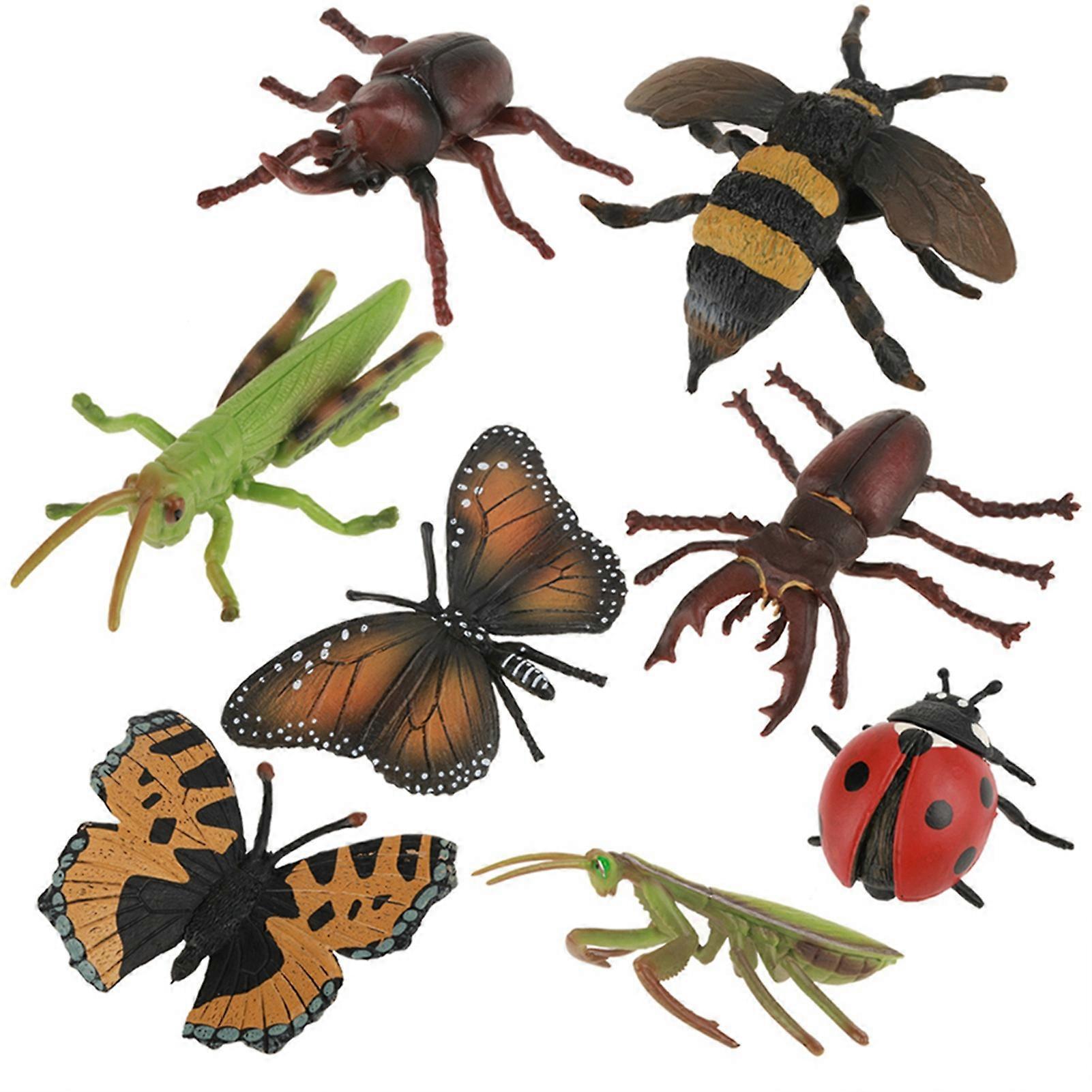 Eco-Friendly Non-Toxic Realistic Insect Models for Science Learning