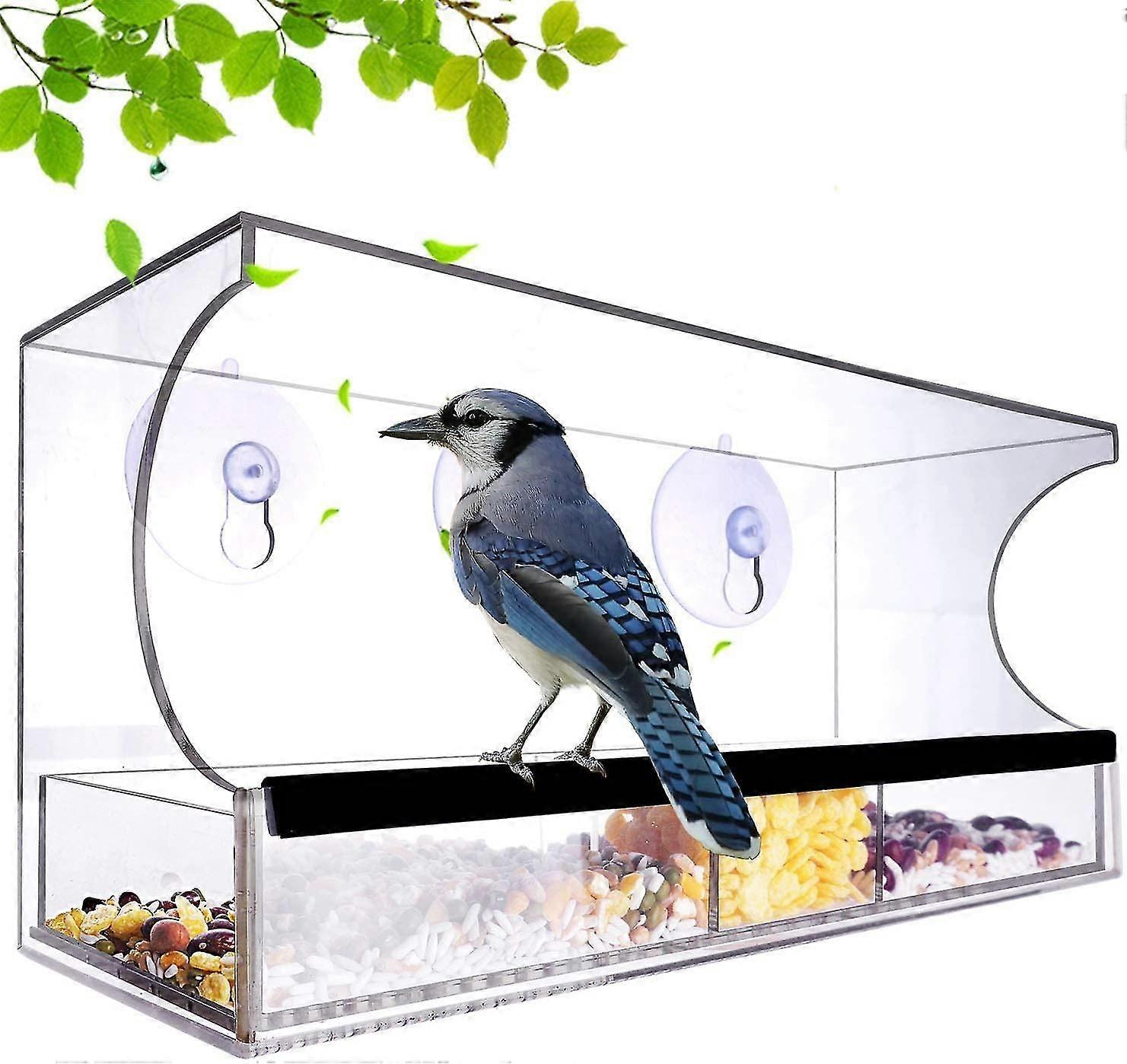 Large Acrylic Window Bird Feeder with Removable Seed Tray & Suction Cup