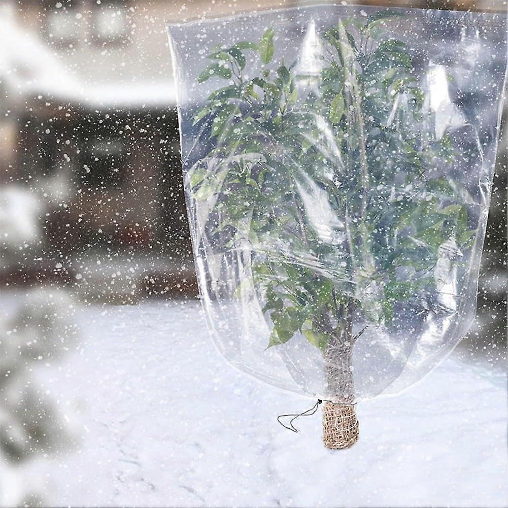 Transparent Plant Plastic Film for Wintering Pots, Cold Resistant, 80 x 100 cm, Suitable for All Plant Types