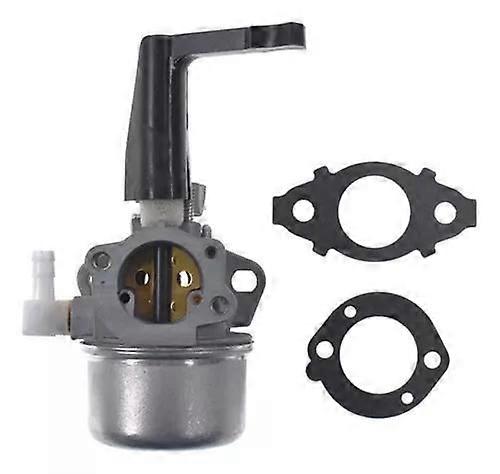 Carburetor for Briggs & Stratton 696065 - Gasket Set