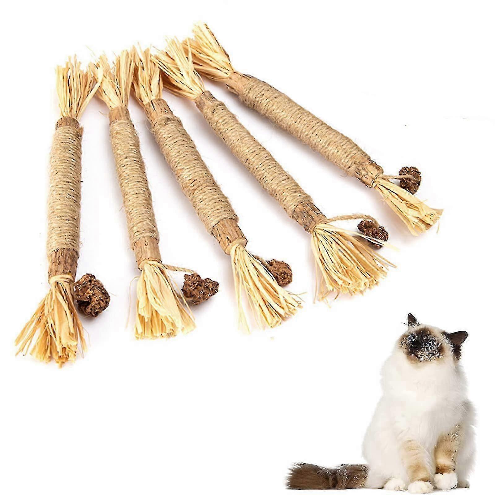 teeth cleaning toys for cats with silvervine and catnip