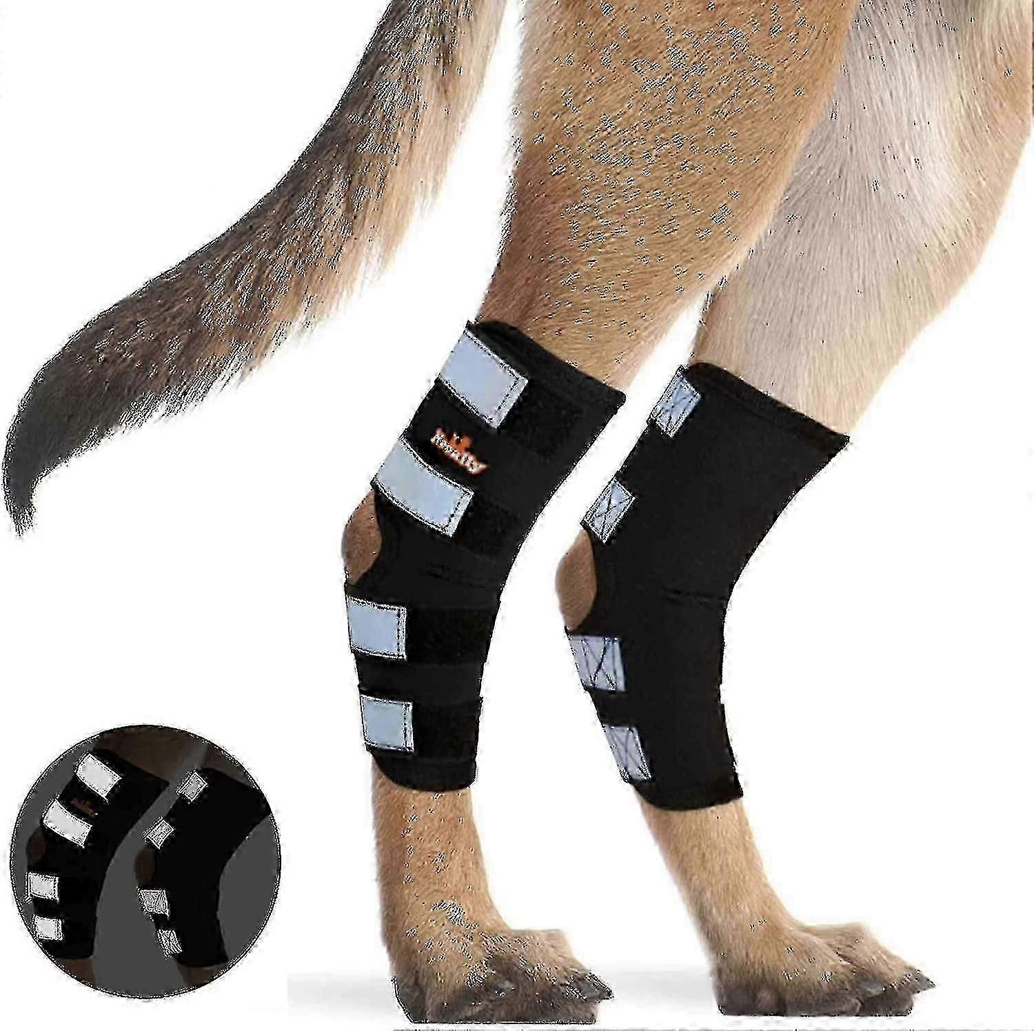 Canine Rear Leg Brace with Reflective Straps: Hock Joint Support for Injury and Sprain Protection