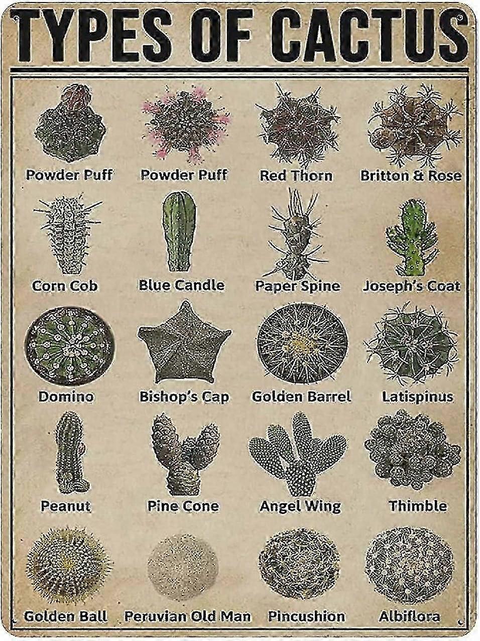 أنواع نيران المخيم ديكور معدني لافتة القصدير 8 × 12 بوصة أو 12 × 16 بوصة وضع 1956