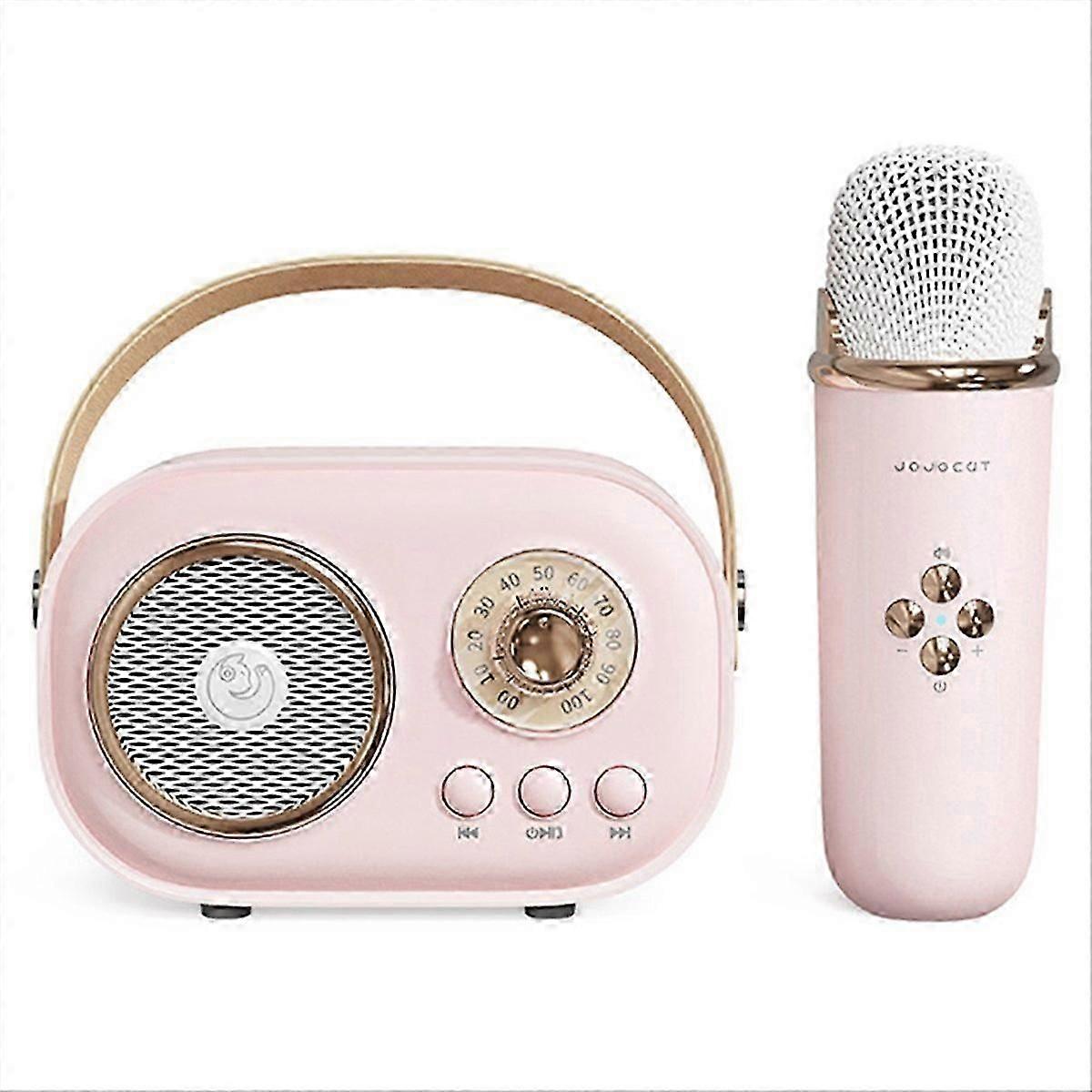 Wireless Bluetooth Audio Portable Amplifier Pink