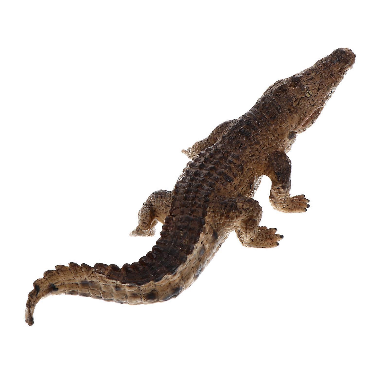 Model Static Ornament for Decoration 1Pcs Realistic Toy