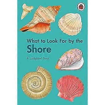 Hva du skal se etter ved kysten (marihøne bok A)