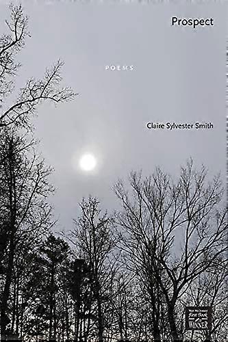 Prospect: Poems