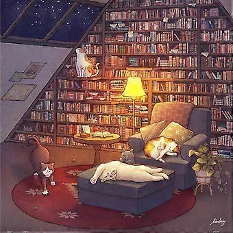 Jigsaw Puzzles for Adults Library Beautiful Puzzle for VRE455