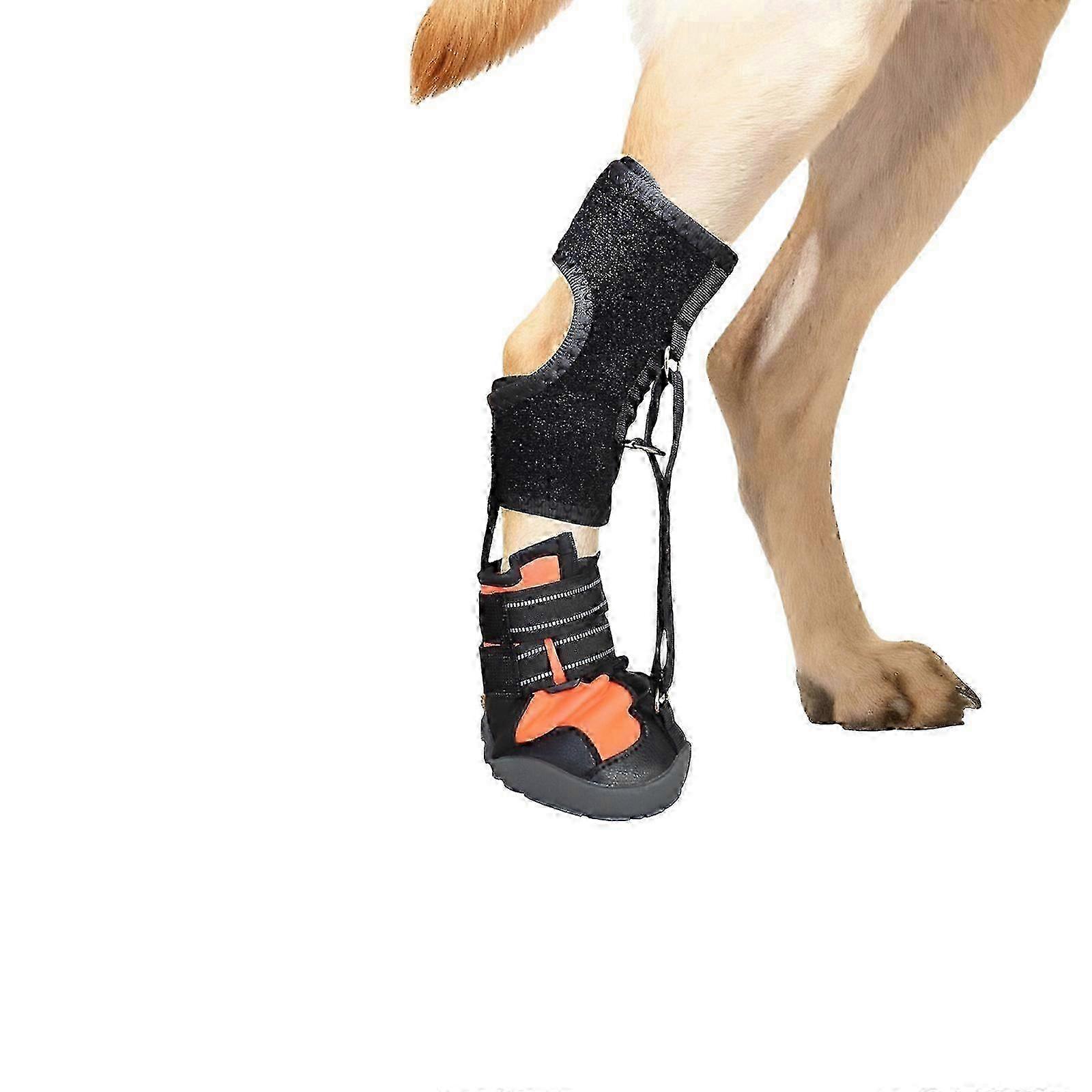 Adjustable Drop Foot Brace for Dogs