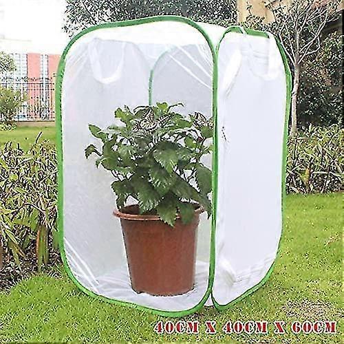 Foldable Insect Habitat Cage With Clear Window