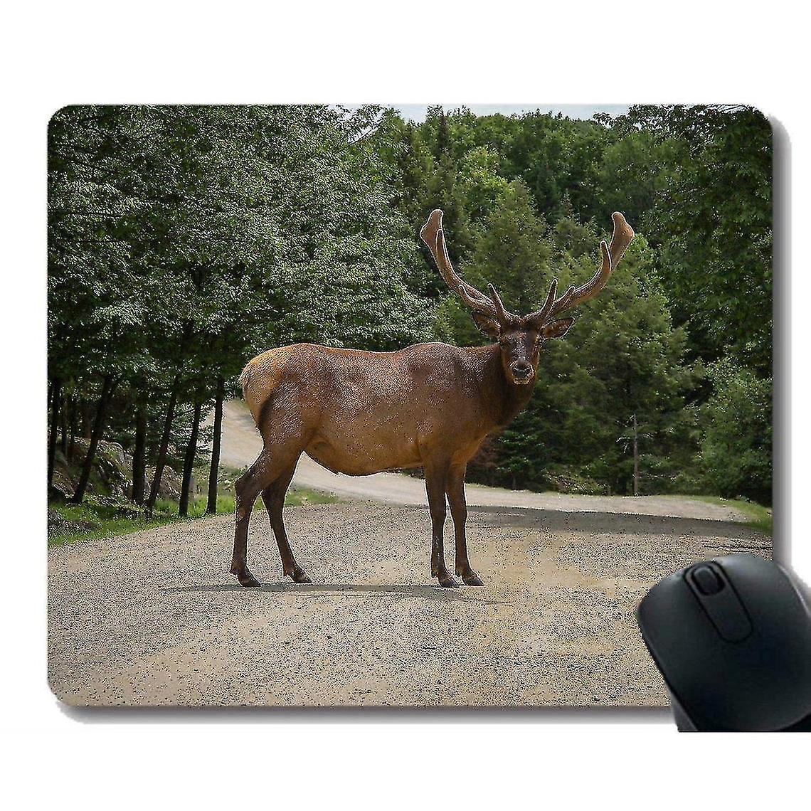 (260x210x3) Mouse Pad, Arde Annalic