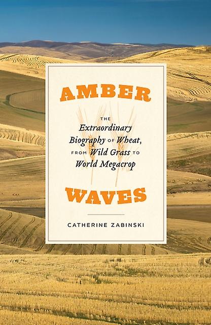 Amber Waves by Catherine Zabinski Hardback Book