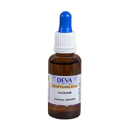 Organic Valerian 30 ml of floral elixir