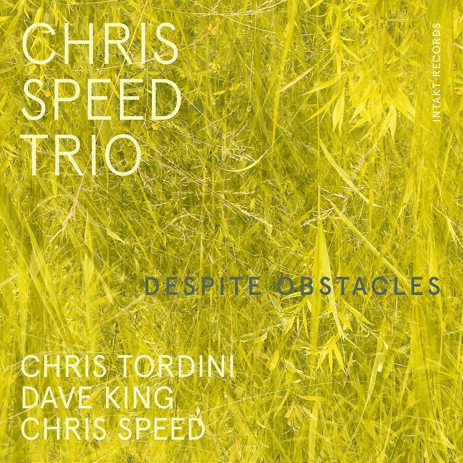 Chris Speed Trio - Despite Obstacles  [COMPACT DISCS] USA import