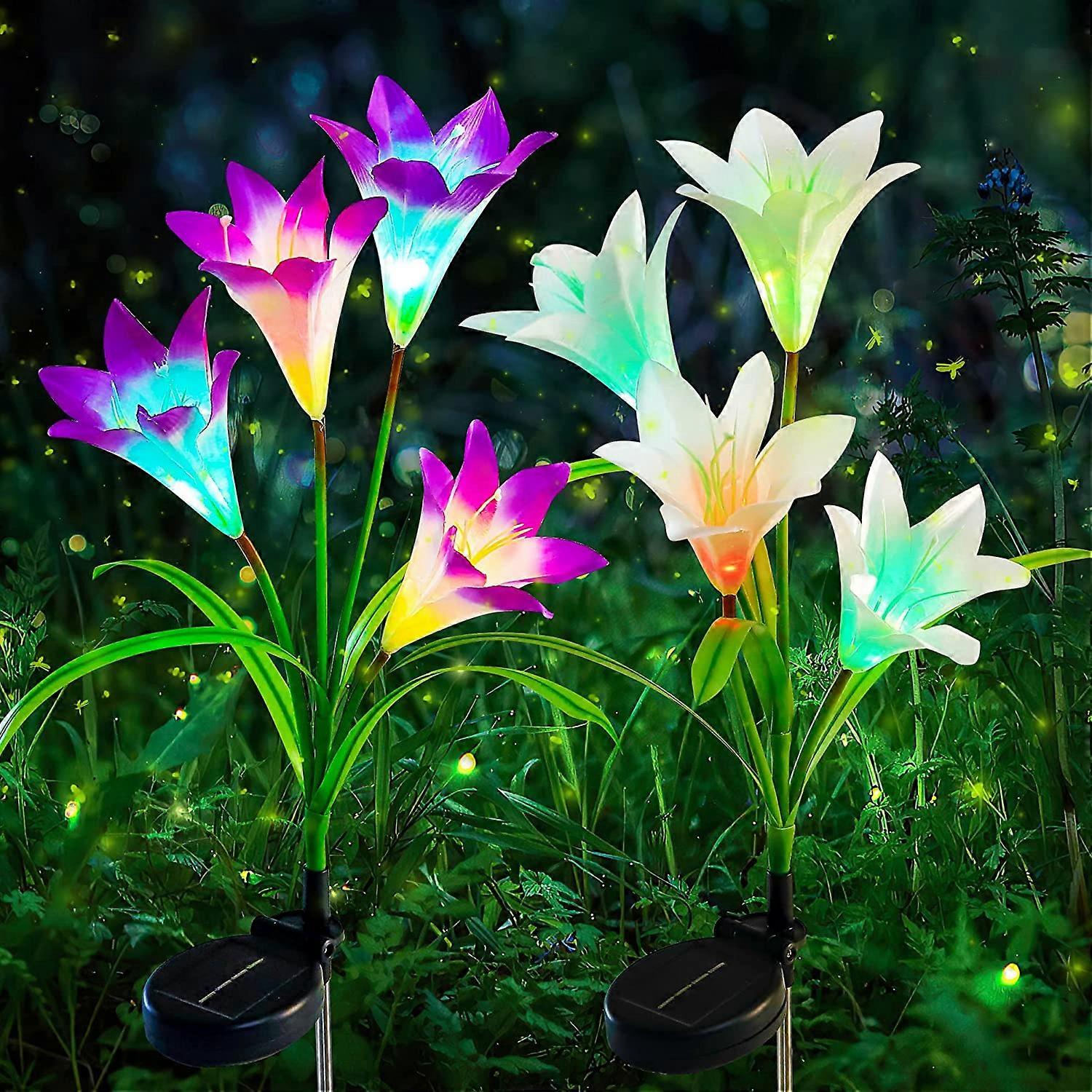 2 Pack LED Solar Garden Stake Lights,Waterproof