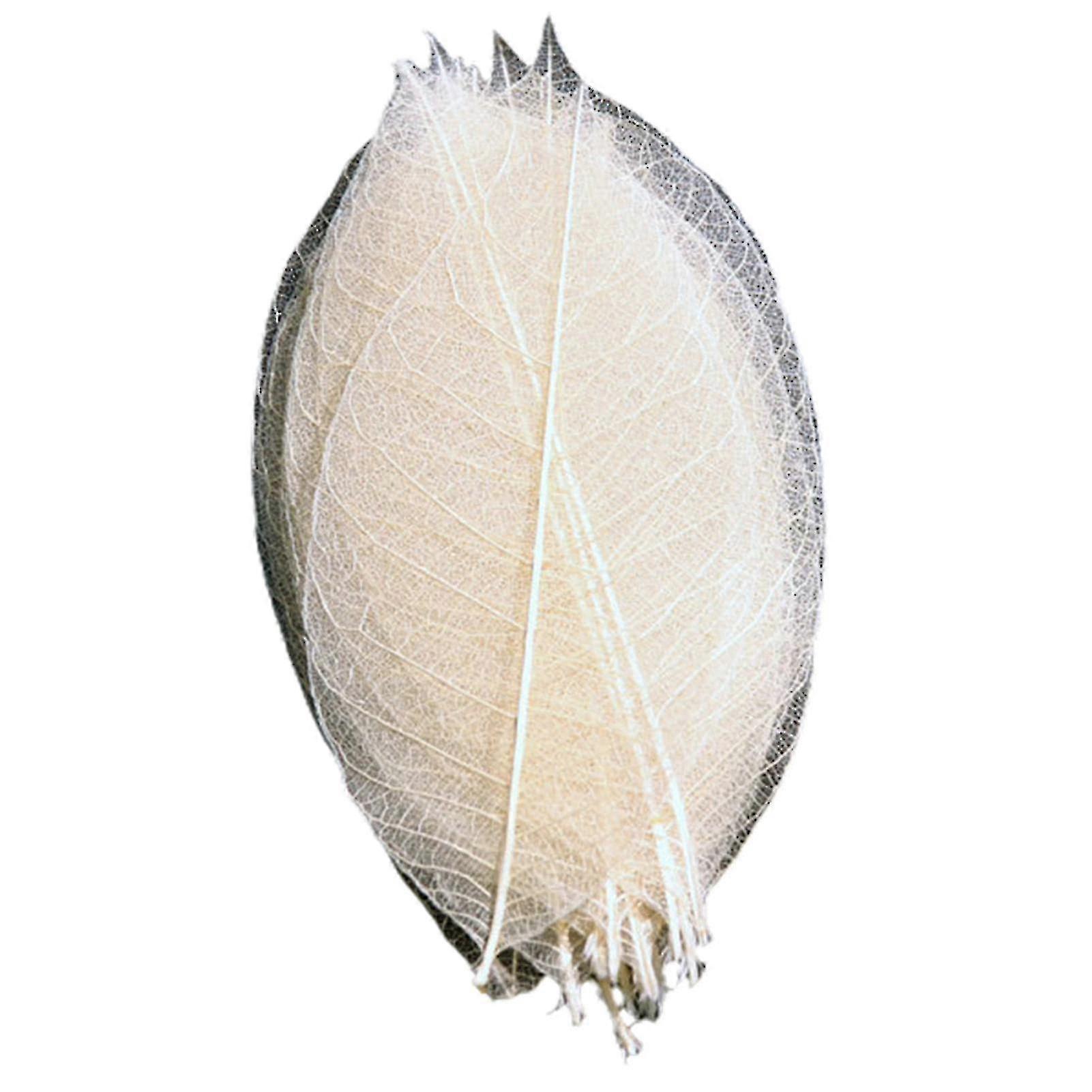 100Pcs Natural Skeleton Leaf Handmade Multi-colors Slim Colorfast Multi-purpose Bookmark Small Scrapbooking Crafts DIY Rubber Tree Leaves - XC
