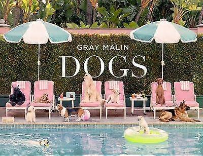Gray Malin: Perros