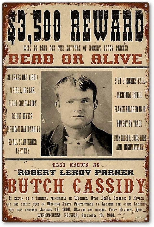 レトロアートブリキ看板ブッチキャシディワイルドウェストバーファームハウスコーヒーポスタープラーク書店壁装飾8x12インチの報酬を求めています