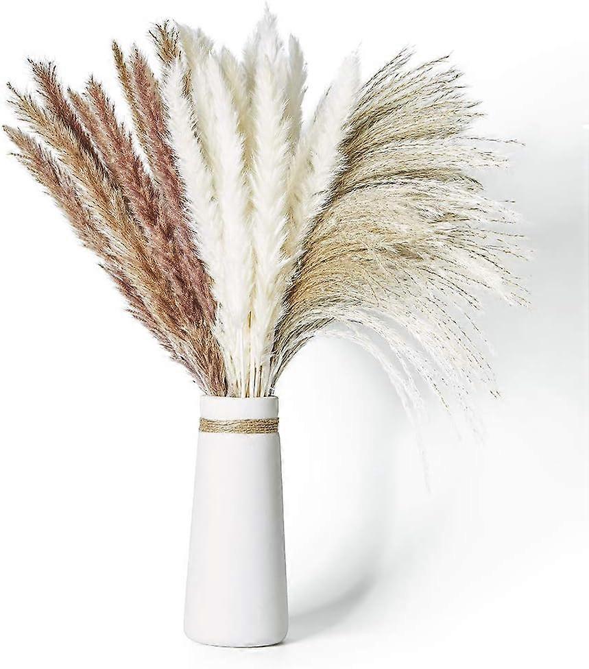 Boho Home Decor, Rabbit Tail Decor, Natural Dried Pampas Grass