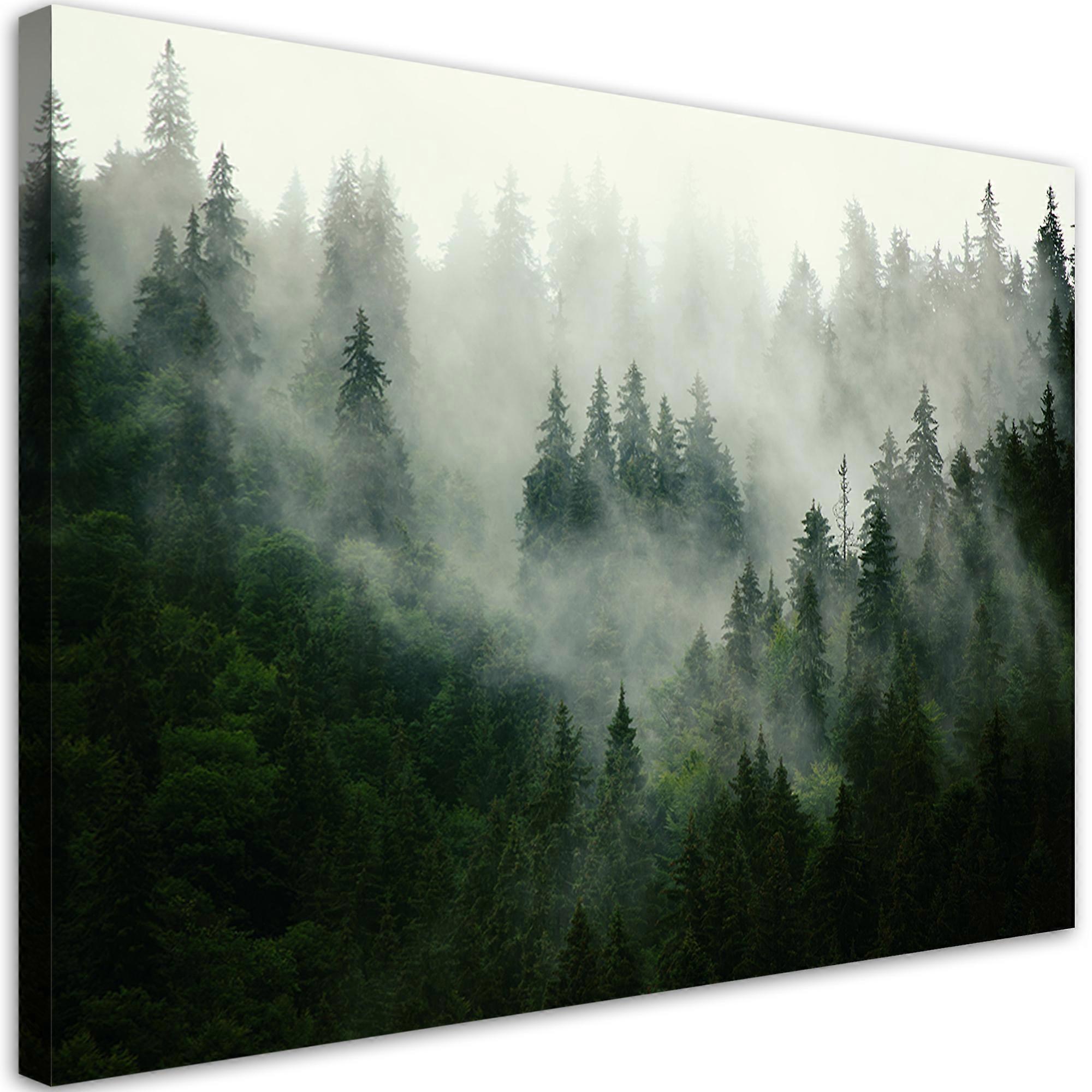 Impression sur toile, Forêt dans la brume - 120x80