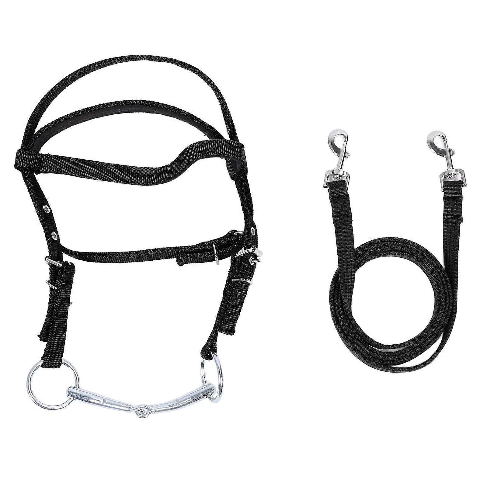 Stylish Adjustable Nylon Horse Bridle, Horse Bridle, Equestrian Rein Black L (For horses with a shoulder height of 1.3 meters and above)