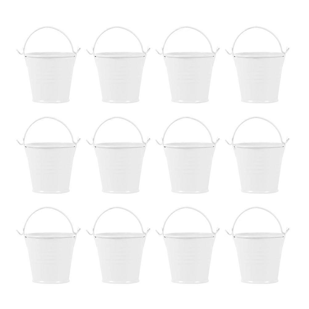 It sounds like you're referring to a product listing or description for **12pcs Iron Flower Buckets** — versatile and durable iron containers