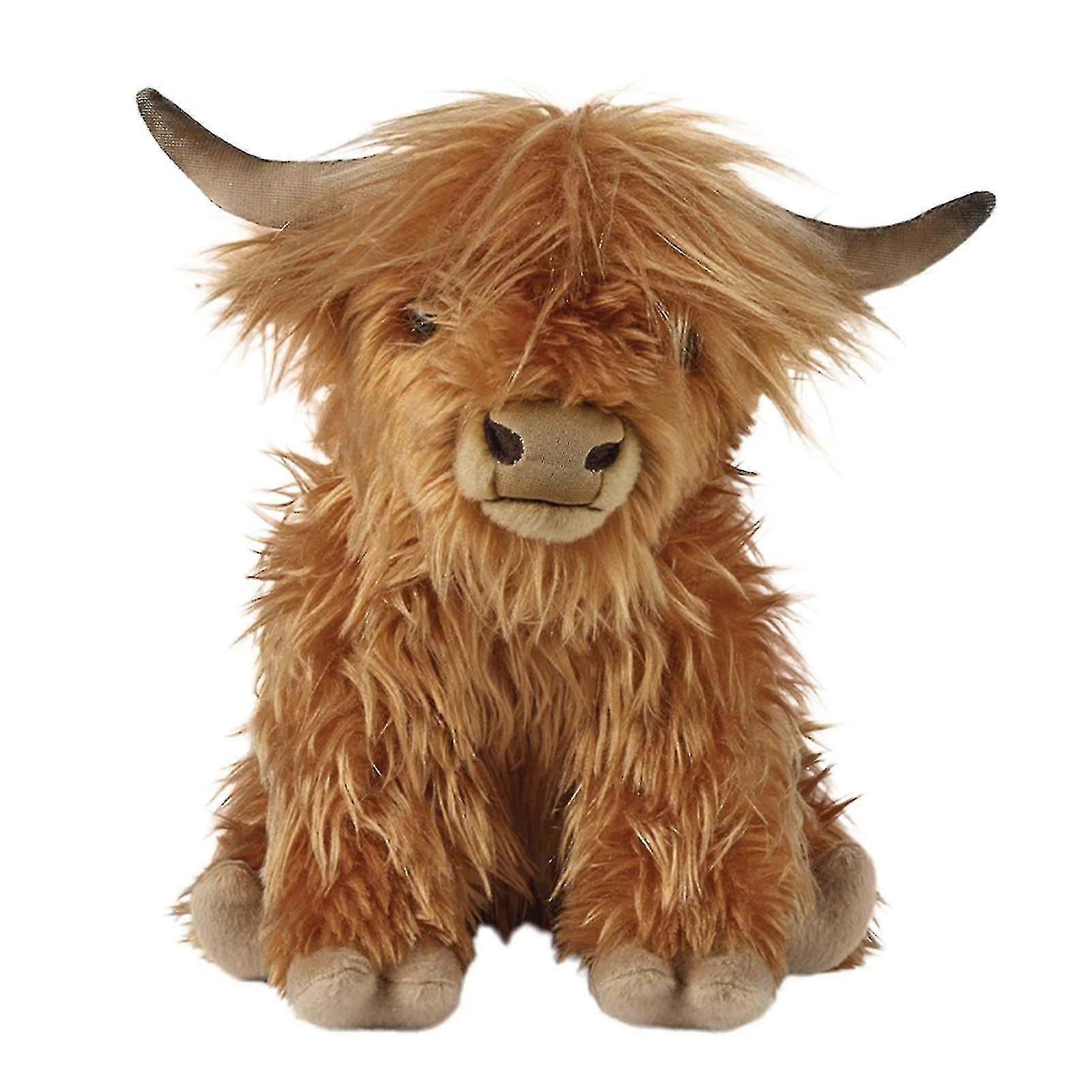 "12" "long Haired Highland Cows, Large Long Haired Animals"