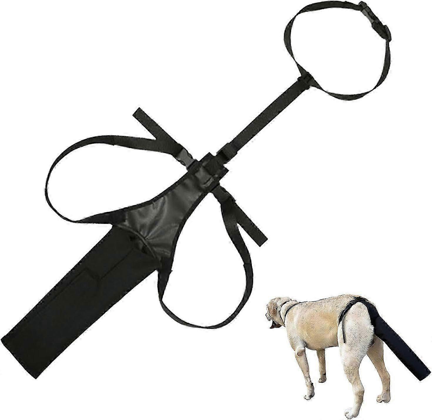 Manicotto di guarigione della coda di cane - Protezione per ferite fasciate per code di cane resistenti alla masticazione