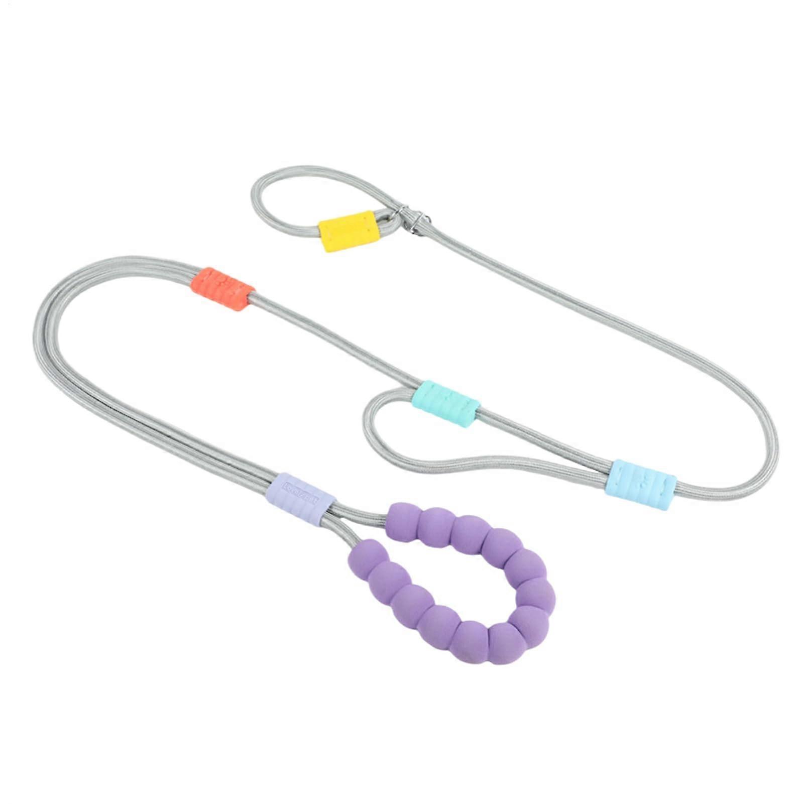 Long leash for dogs, sturdy, padded, comfortable, strong, secure, gray.